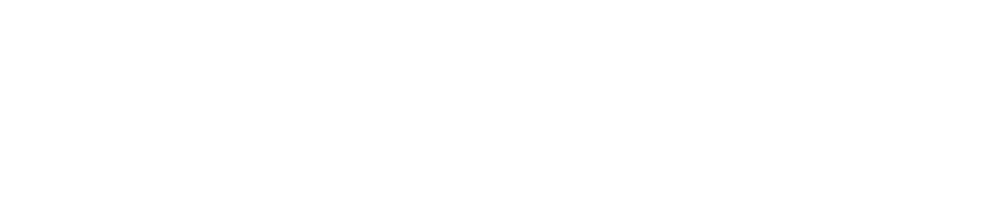 Stinissen Auto's